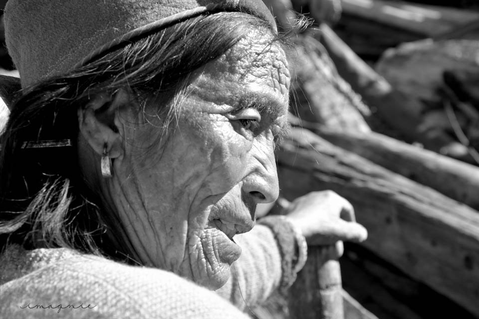 Expressions of Himachal