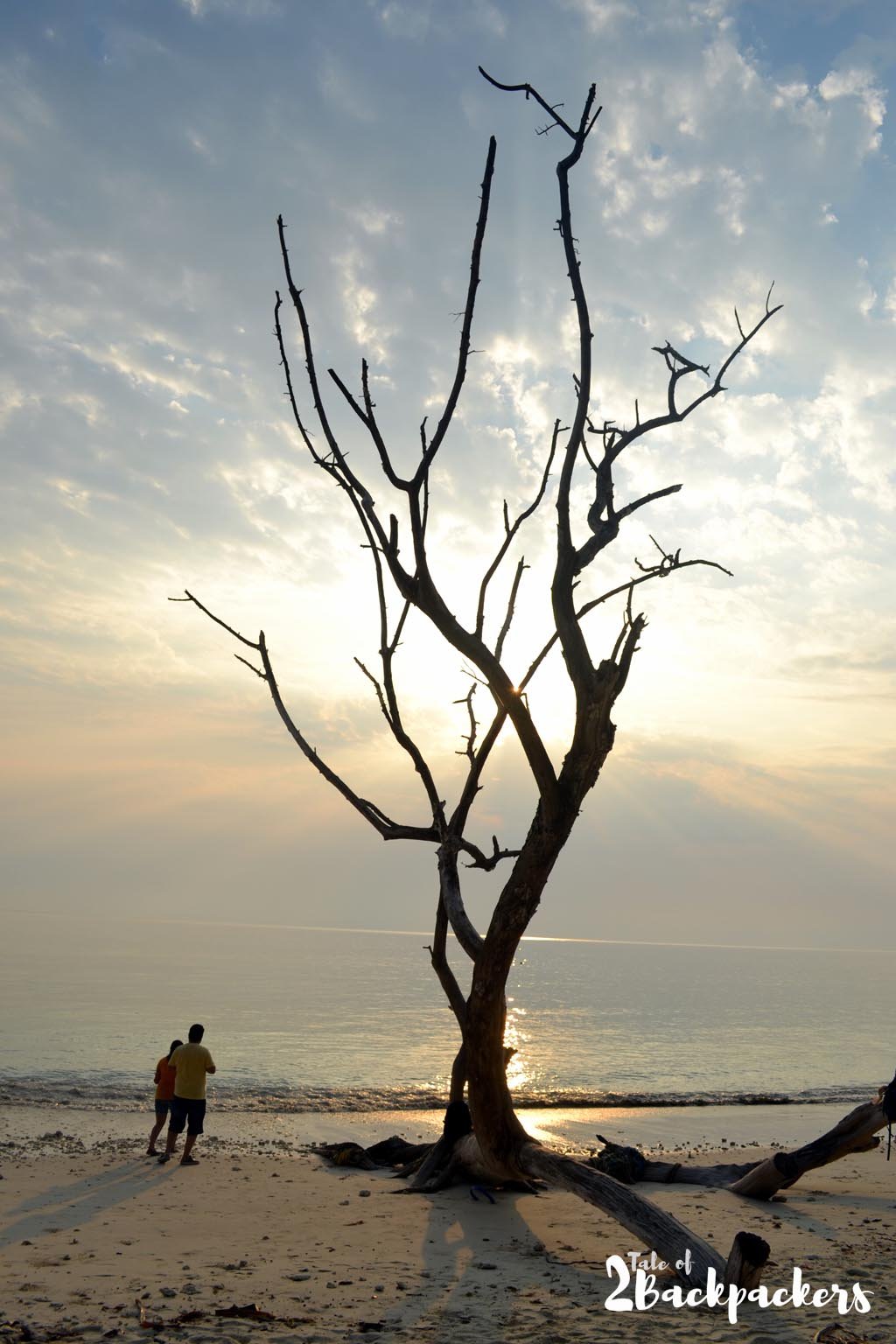 Havelock Island