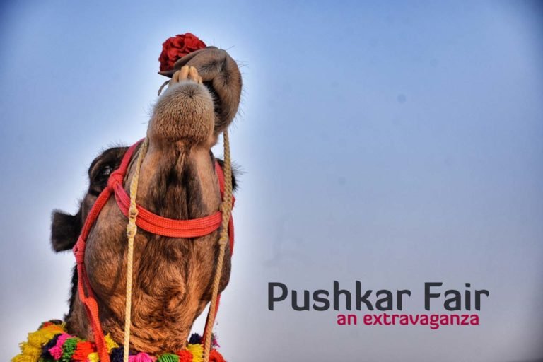 Pushkar