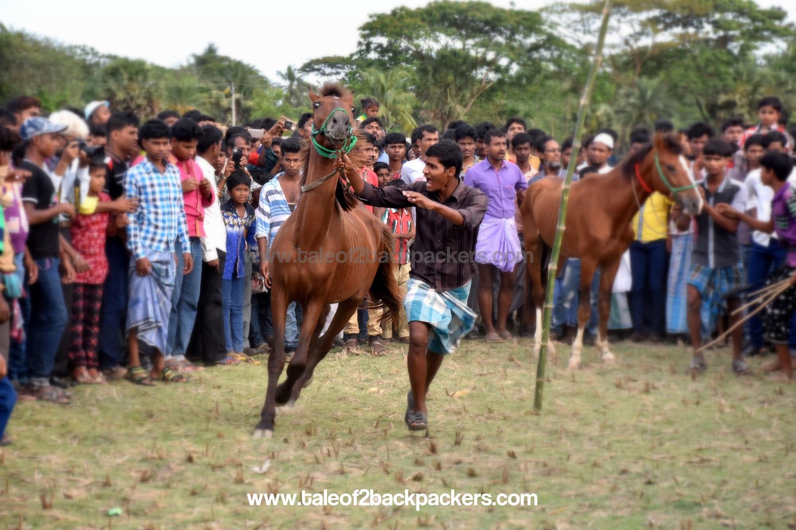 Horse Race at Jatar Deul
