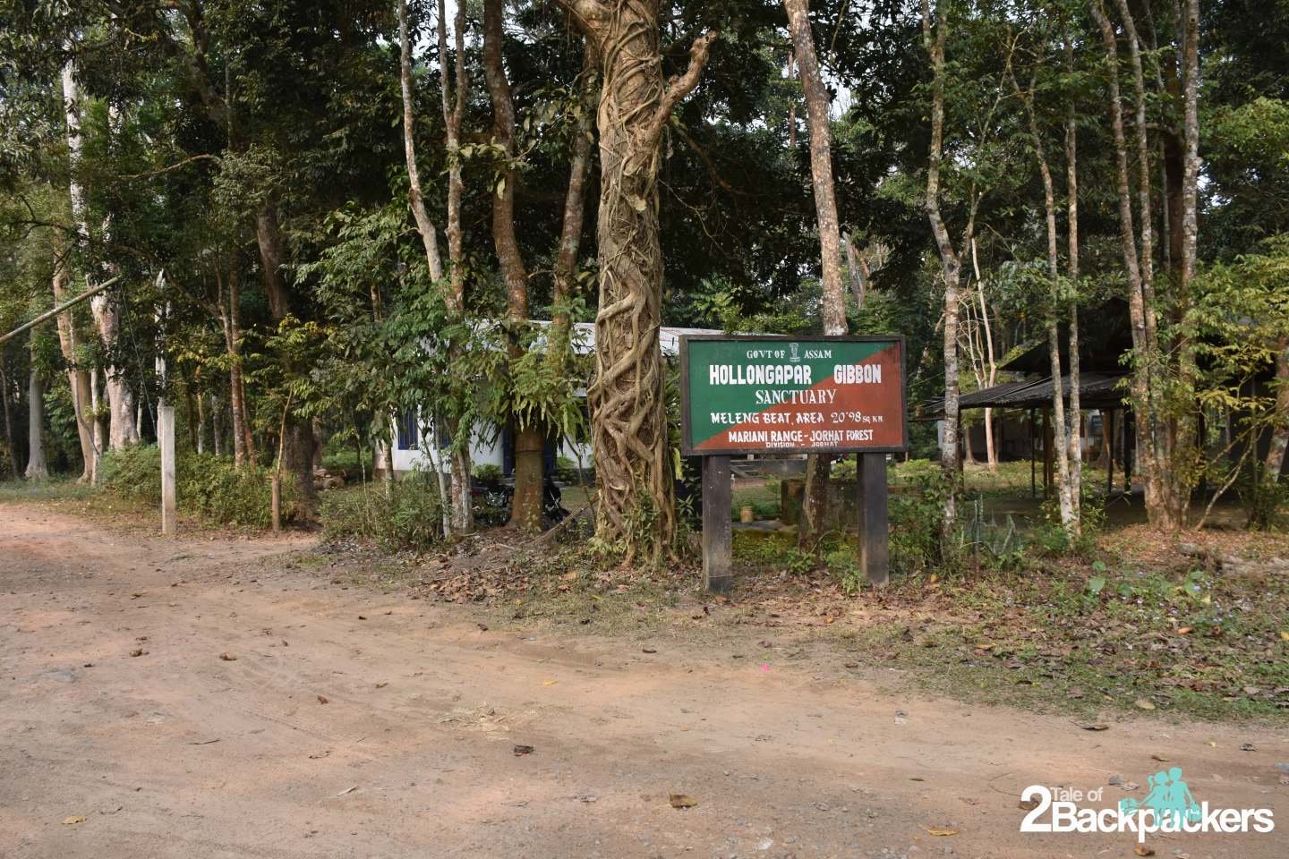hoollongapar gibbon sanctuary Jorhat Assam