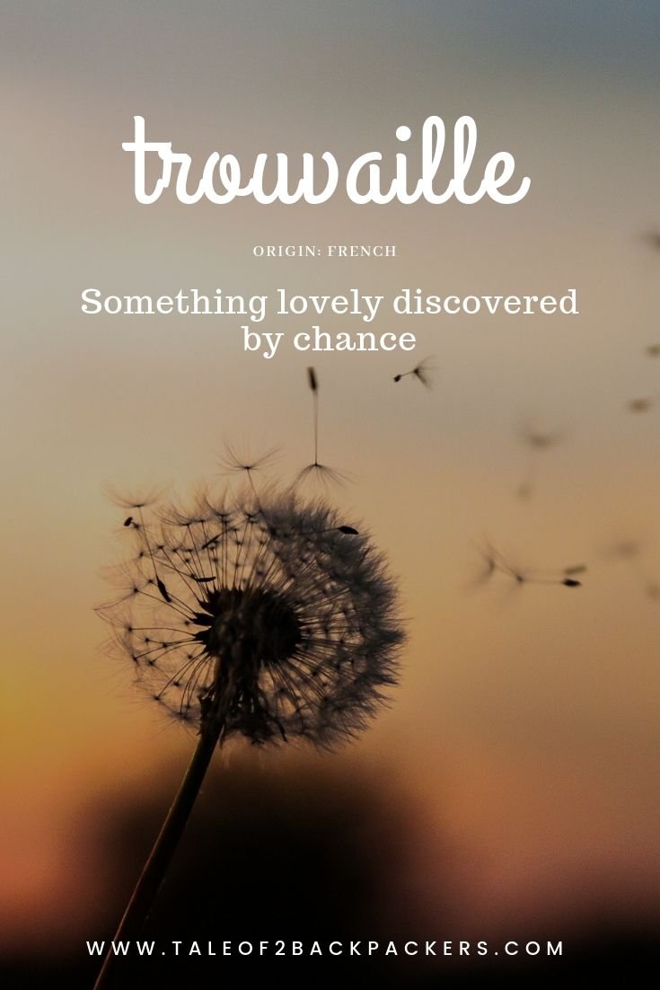 38 Unique Creative Travel Words With Beautiful Meanings T2B