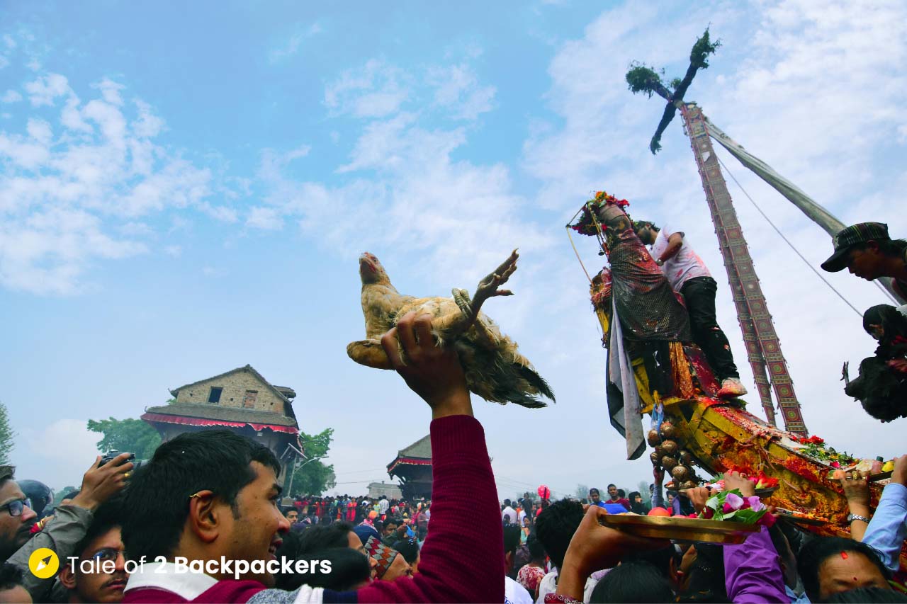 Offering animal sacrifices at Bisket Jatra - Festival in Nepal