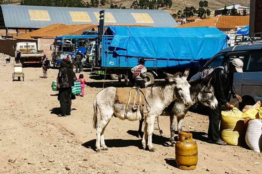 Tarabuco livestock market in Sucre, Bolivia