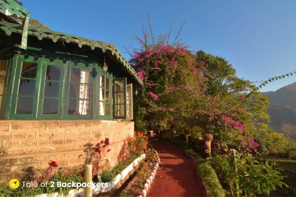 Singtom Tea Estate and Resort, Darjeeling - A Complete Guide | T2B