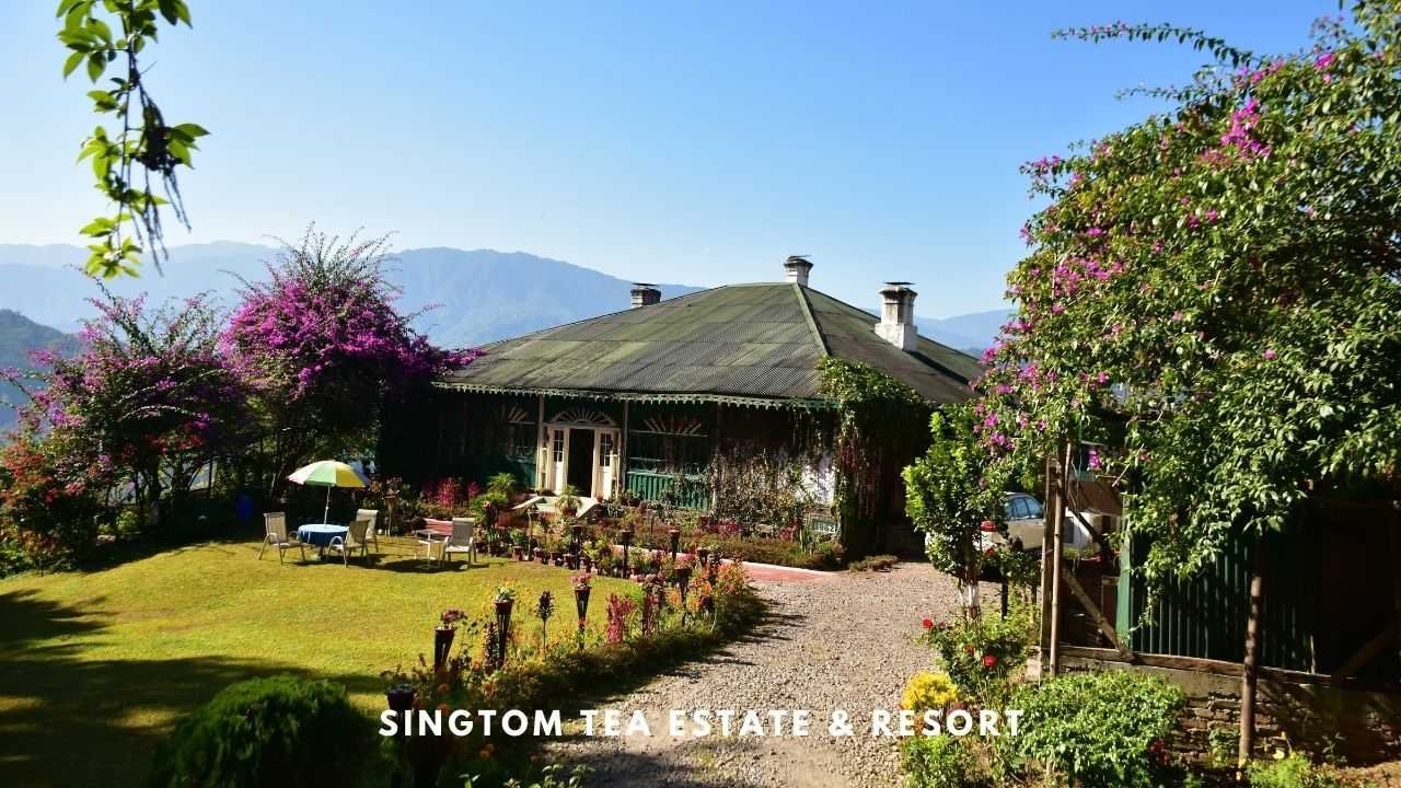 Singtom Tea Estate and Resort Darjeeling | Tale of 2 Backpackers