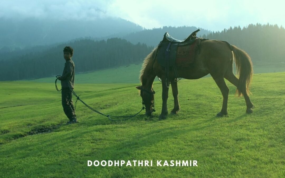 DOODHPATHRI, Trip to the Valley of Milk in Kashmir