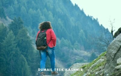 DUMAIL TREK KASHMIR – An easy hike from Naranag