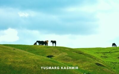 YUSMARG, Unexplored Kashmir – A Complete Travel Guide