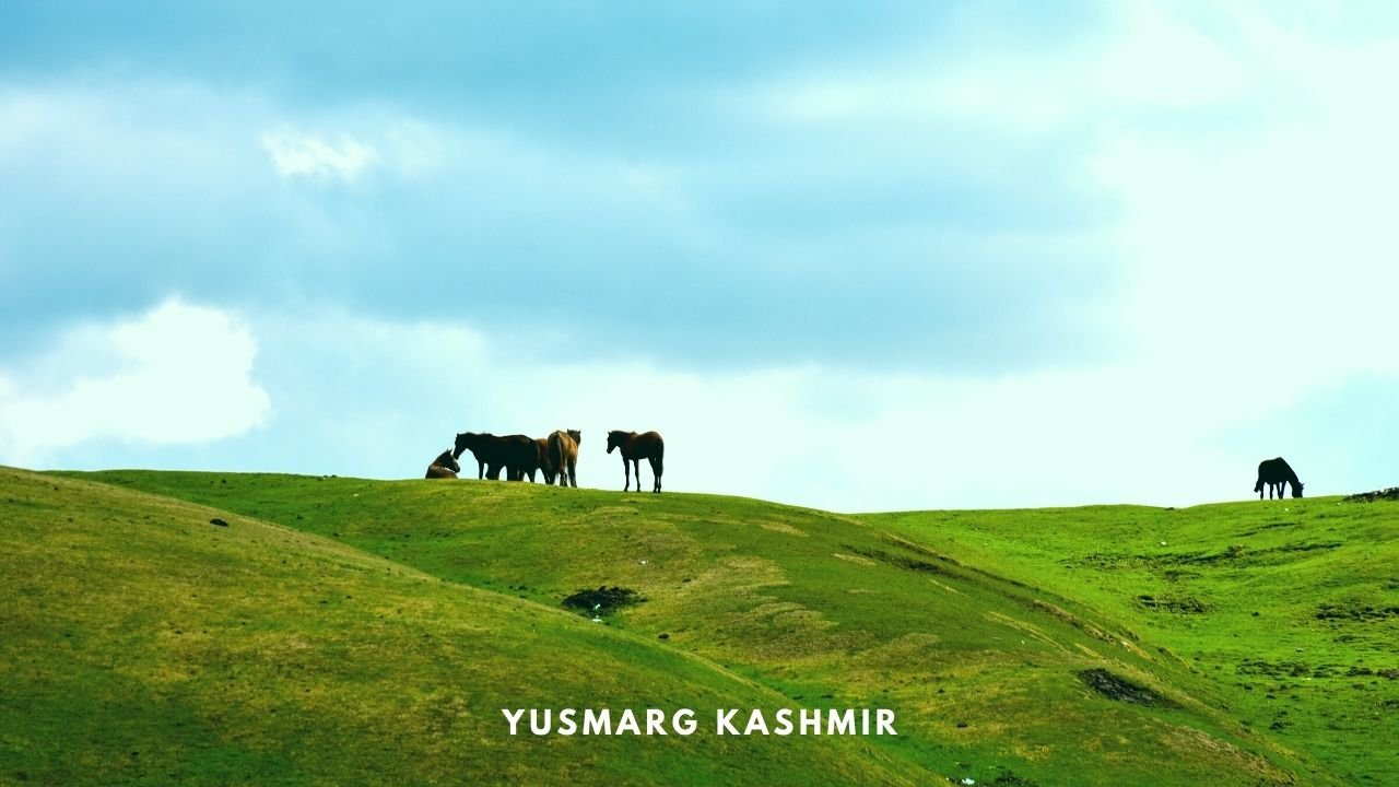 Yusmarg Offbeat Kashmir