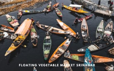 Floating Vegetable Market Srinagar – Sensory Overload at Dal Lake