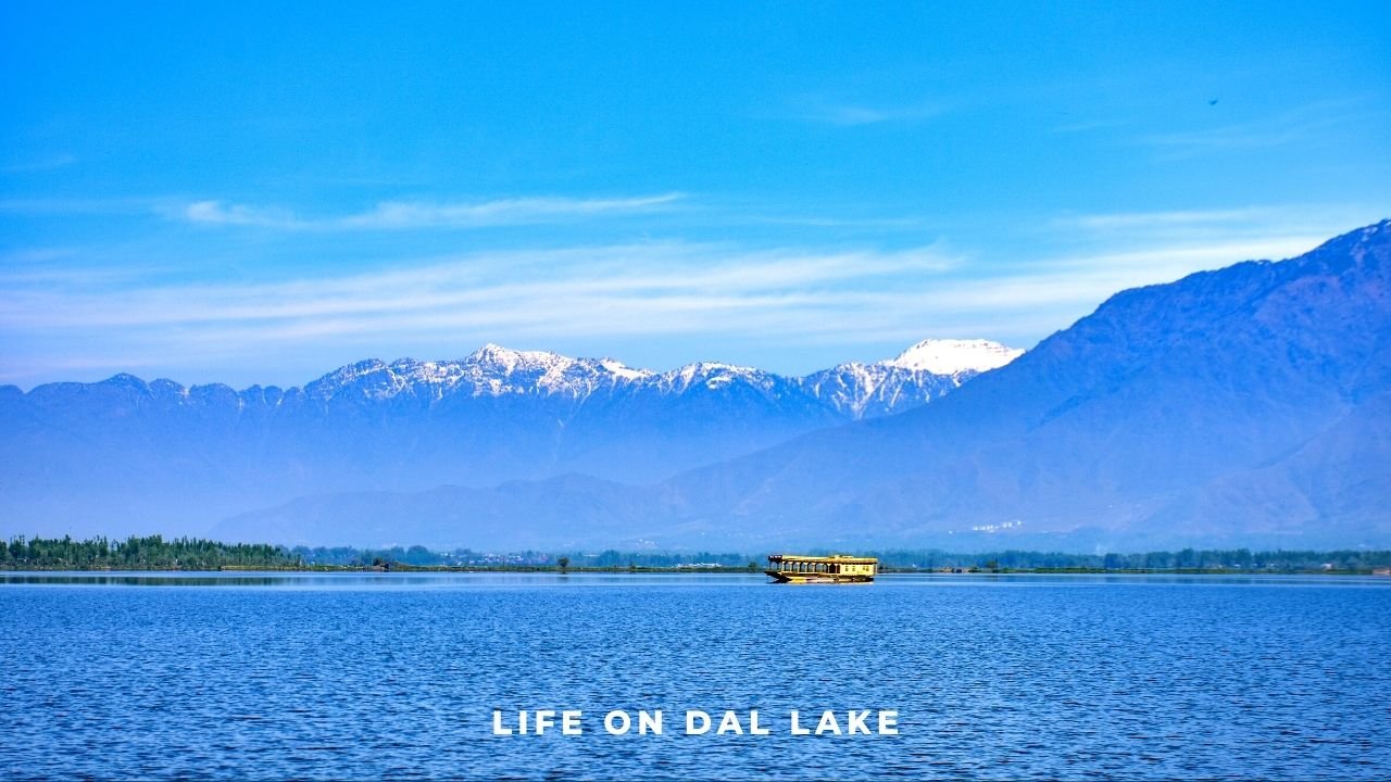 Life on Dal Lake Kashmir