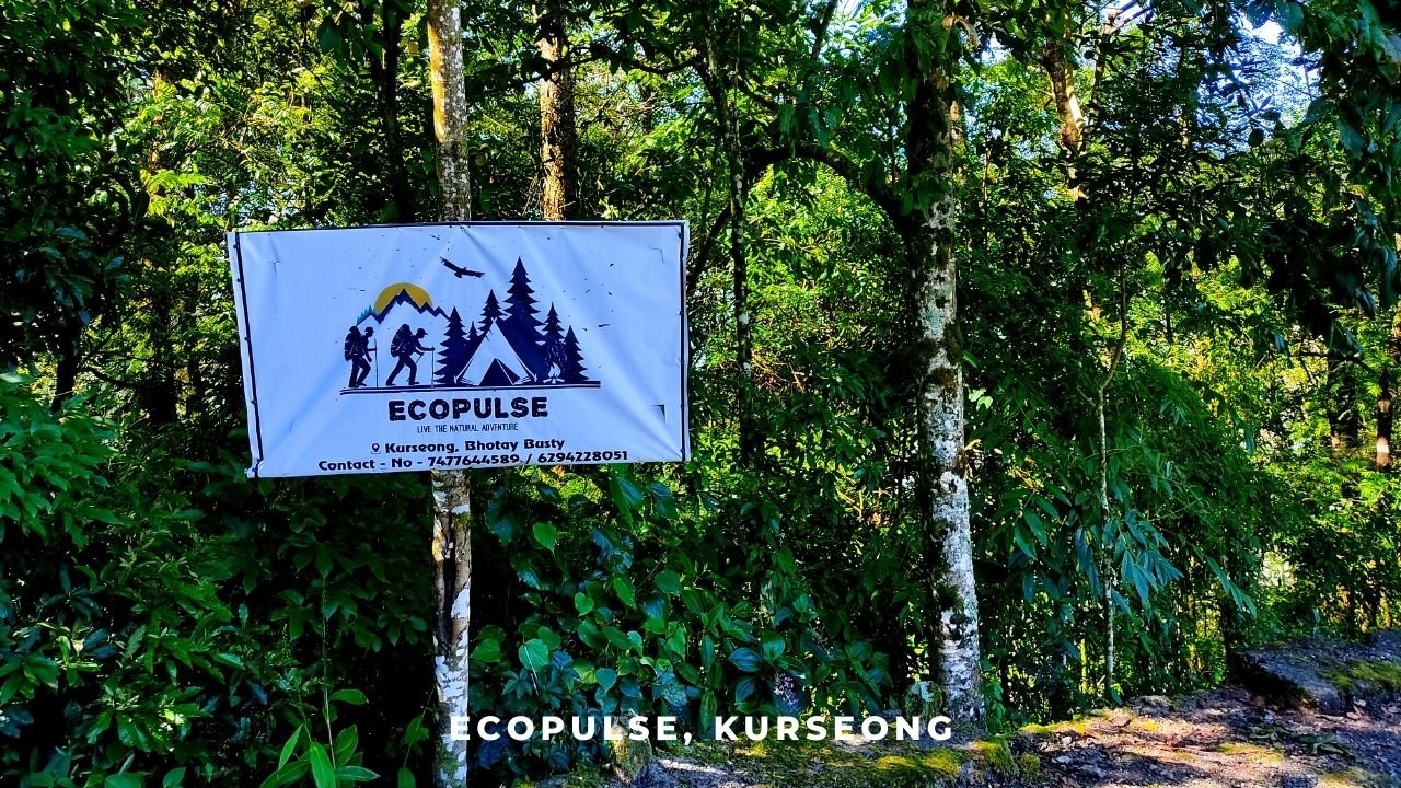 Ecopulse Offbeat place near Kurseong and Darjeeling