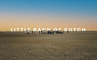 Experience Little Rann of Kutch with Rann Riders Dasada