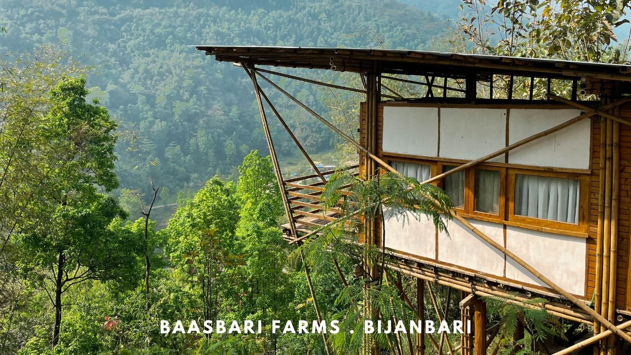 Baasbari farms Bijanbari near Darjeeling