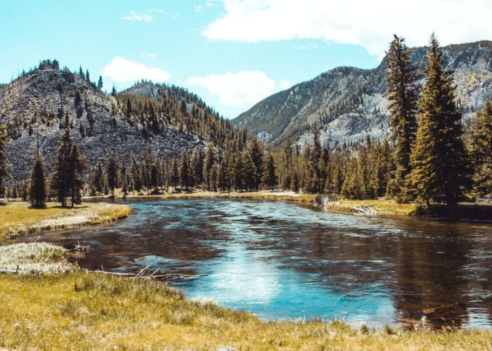 River valley captured in Yellowstone National Park, Wyoming USA