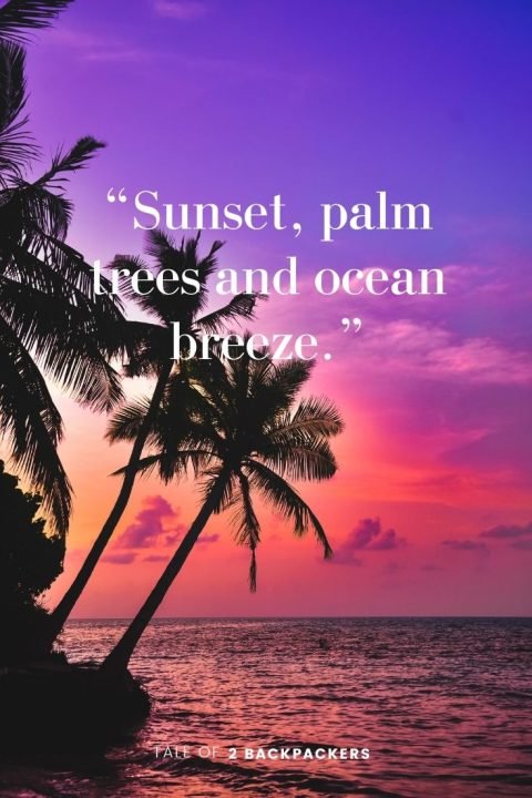 220+ Sunset Quotes - Use These Sunset Captions for Instagram | Tale of ...