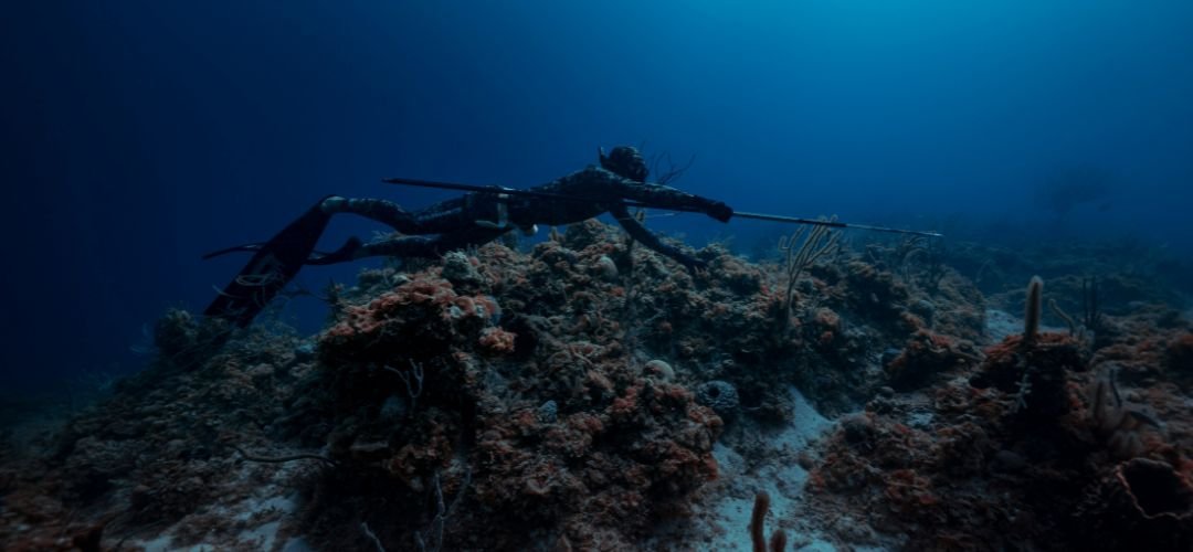 Essential Gear for Spearfishing Adventures