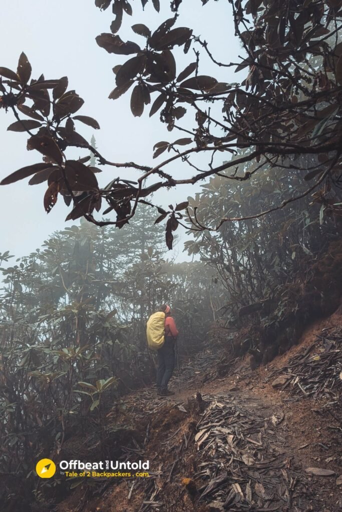 The endless trail from Kokchurang to Phedang at Goechala Trek