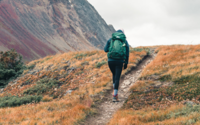 Backpacking Abroad in a Digital World: Staying Connected While on the Road