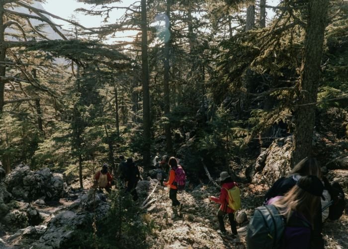 Most Common Items Backpackers Forget to Bring on a Wilderness Hike