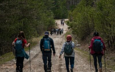 Most Common Items Backpackers Forget to Bring on a Wilderness Hike